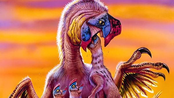 Dinosaur Discovery - The Oviraptor: The Falsely Accused 'Egg Snatcher'