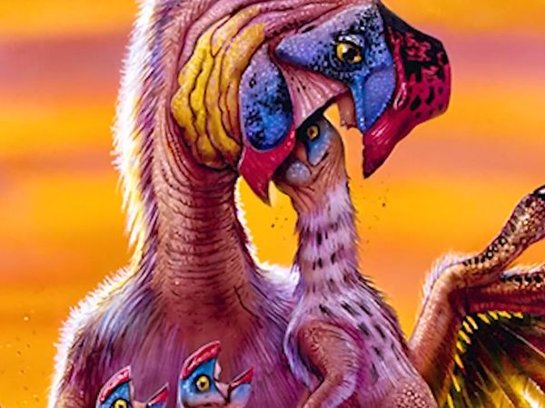 Dinosaur Discovery - The Oviraptor: The Falsely Accused 'Egg Snatcher'
