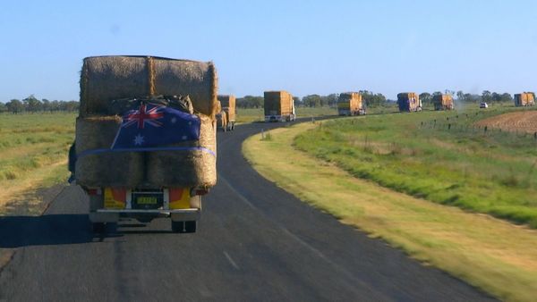 Outback Truckers - Lost with Equine Cargo