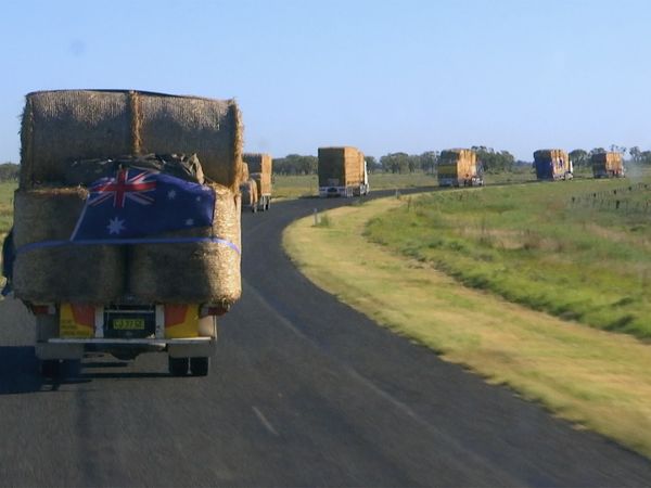 Outback Truckers - Lost with Equine Cargo