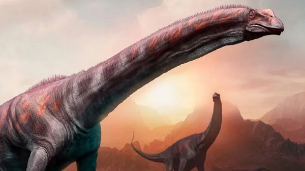 Dinosaur Discovery - Argentinosaurus: One of The LARGEST Land Animals To Walk The Earth