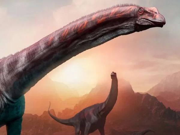 Dinosaur Discovery - Argentinosaurus: One of The LARGEST Land Animals To Walk The Earth