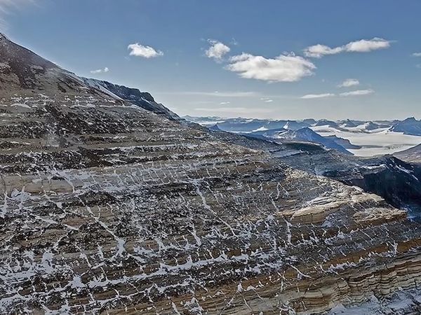 Dinosaur Discovery - Cryolophosaurus: The Cold Crested Lizard of Antarctica