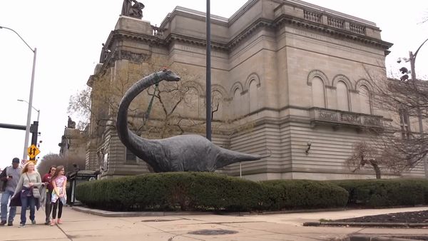 Dinosaur Discovery - Apatosaurus: One of the Most Iconic Sauropods to Ever Walk the Earth