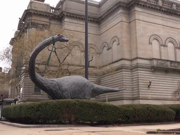 Dinosaur Discovery - Apatosaurus: One of the Most Iconic Sauropods to Ever Walk the Earth
