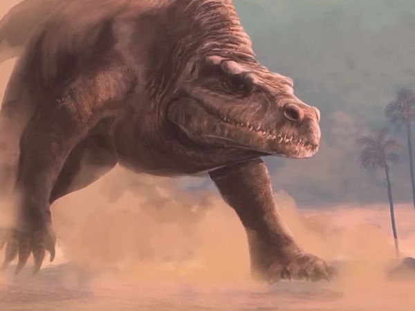 Dinosaur Discovery - Megalosaurus: The ENORMOUS 'Great' Lizard