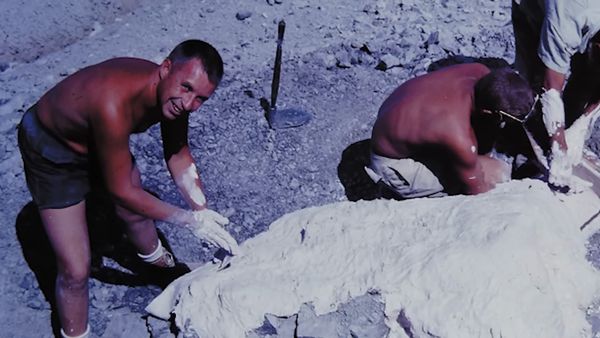 Dinosaur Discovery - Dromaeosaurs: Raptors of The Mesozoic Era