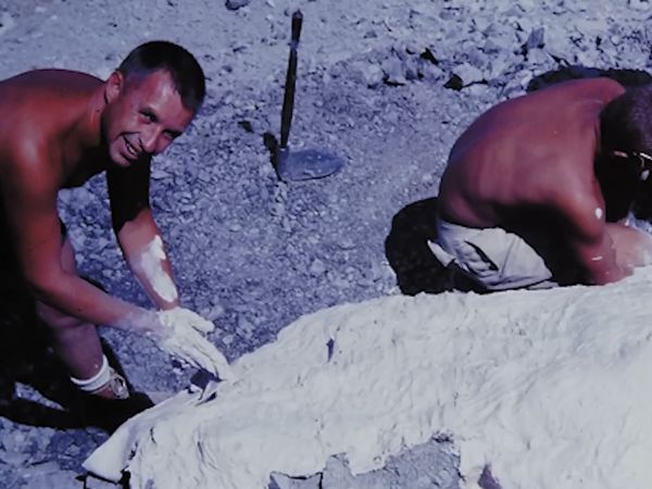 Dinosaur Discovery - Dromaeosaurs: Raptors of The Mesozoic Era