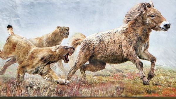 Dinosaur Discovery - The Prehistoric Tiger That Gave Cavemen Nightmares