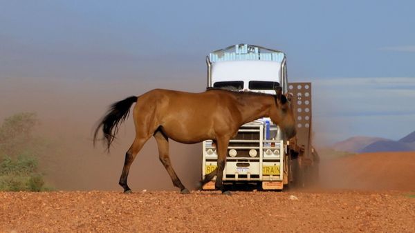 Outback Truckers - House Up the Mountain and Flooded Tippers