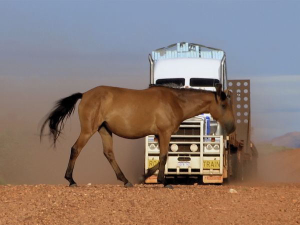 Outback Truckers - House Up the Mountain and Flooded Tippers