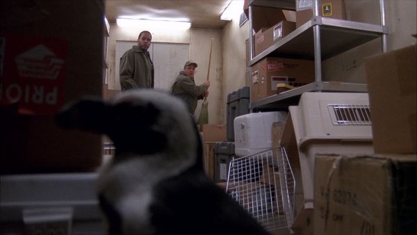 The King of Queens - Atracción Animal