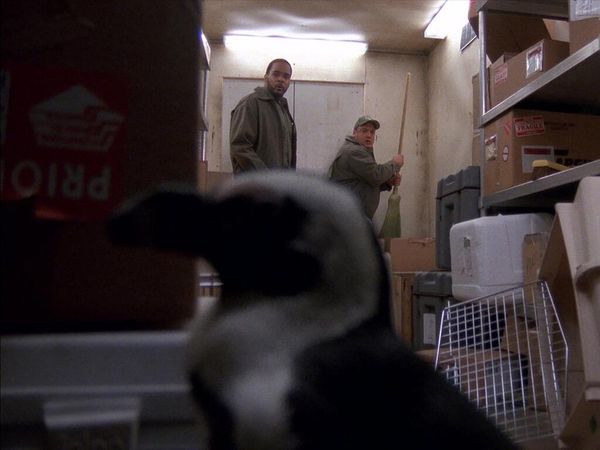 The King of Queens - Atracción Animal