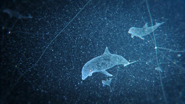 Efecto mariposa - Aguas profundas: un océano de petróleo