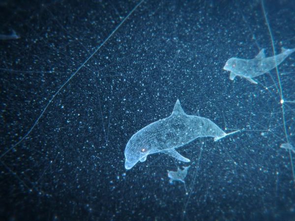 Efecto mariposa - Aguas profundas: un océano de petróleo