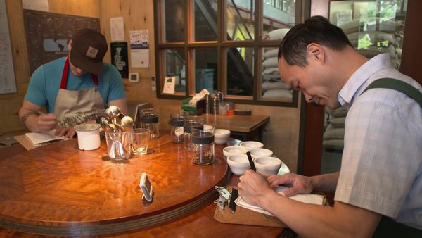 Brilla ahora - El subidón del café