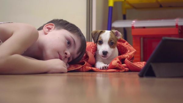 Brilla ahora - La ciencia de lo adorable