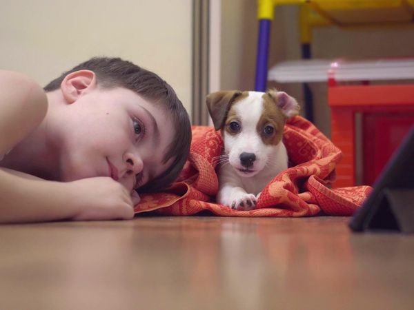 Brilla ahora - La ciencia de lo adorable