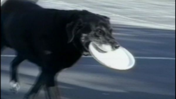 Life's Funniest Moments - Have Your Cake and Eat It Too