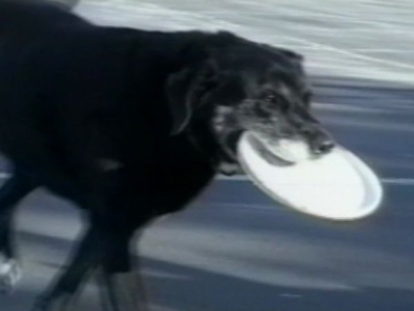 Life's Funniest Moments - Have Your Cake and Eat It Too