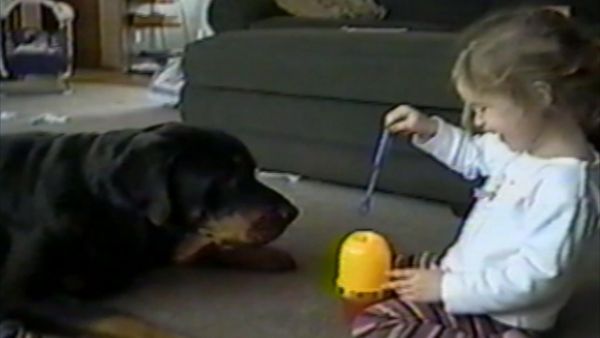 Life's Funniest Moments - The Tarzan Way