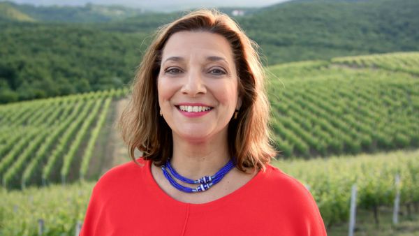 My Greek Table With Diane Kochilas - A Bite of Greek Red Wine