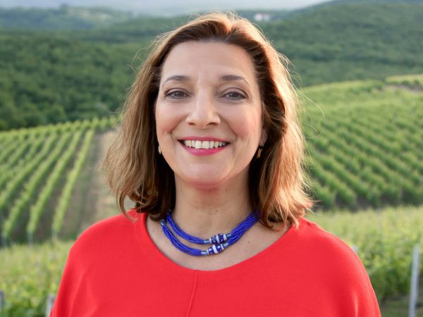 My Greek Table With Diane Kochilas - A Bite of Greek Red Wine