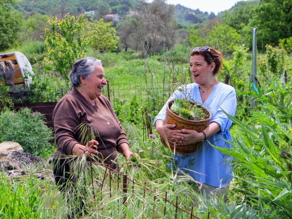 My Greek Table With Diane Kochilas - Crete: Mother of the Mediterranean