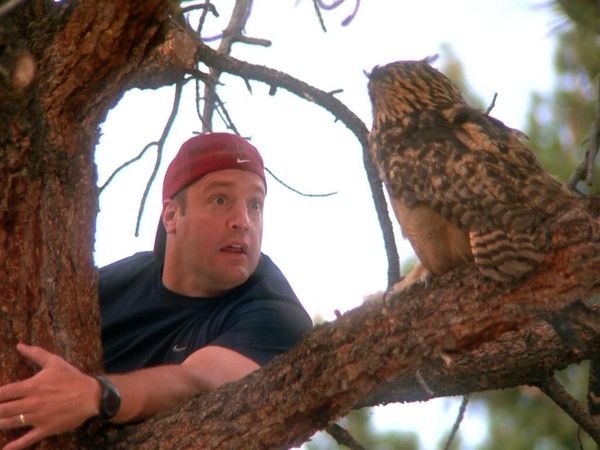 The King of Queens - Menos Doug - Parte 2