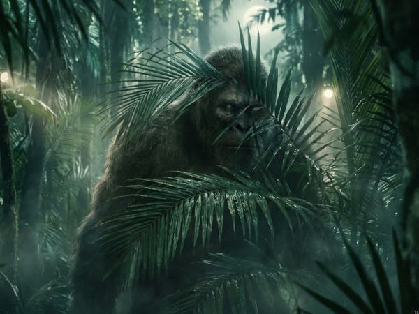 Cabin in the Woods - 6 Compelling Bigfoot Photos Explained