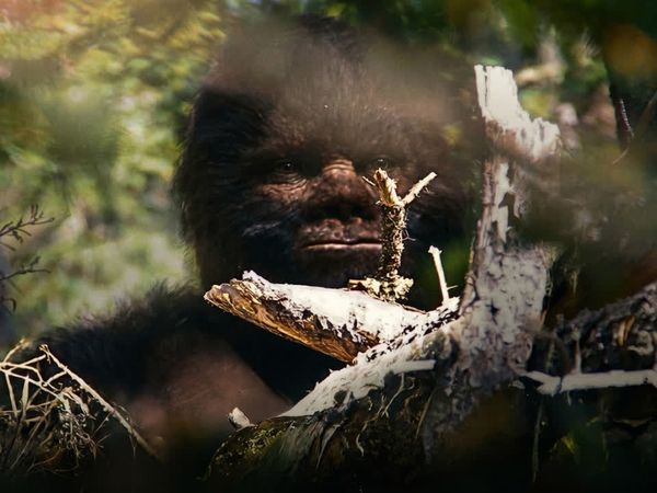 Cabin in the Woods - Todd Standing's Bigfoot Evidence Examined