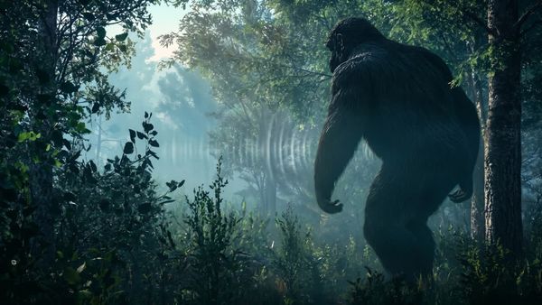 Cabin in the Woods - Bigfoot's Hidden Language
