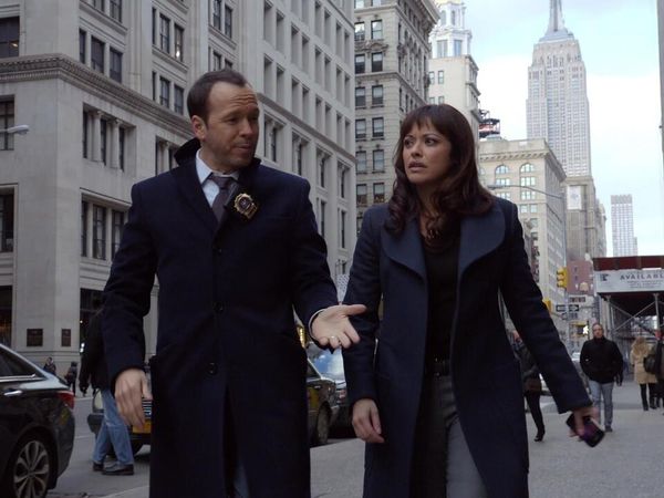 Blue Bloods - Enmiendas