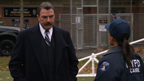 Blue Bloods - Mala Sangre