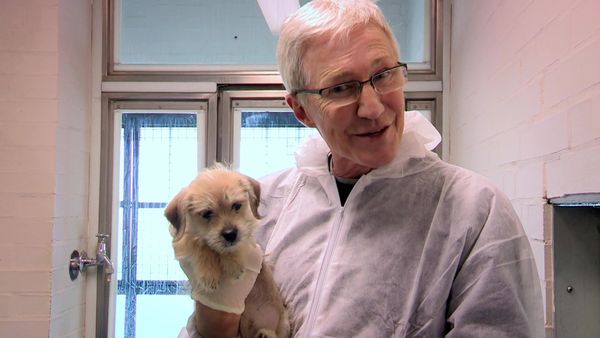 Paul O'Grady: For the Love of Dogs - Episode 1
