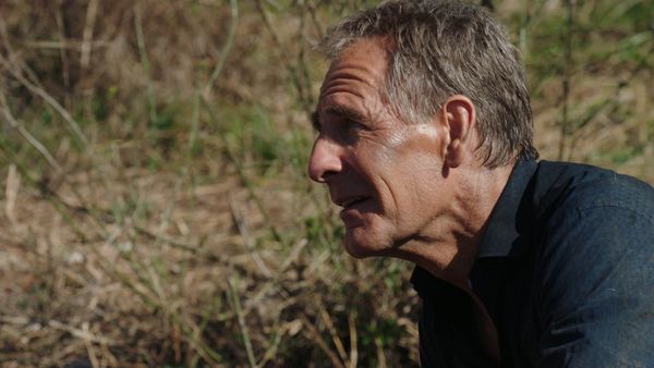 NCIS: New Orleans - Napoleons Lilie