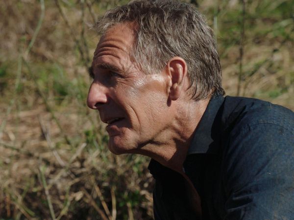 NCIS: New Orleans - Napoleons Lilie
