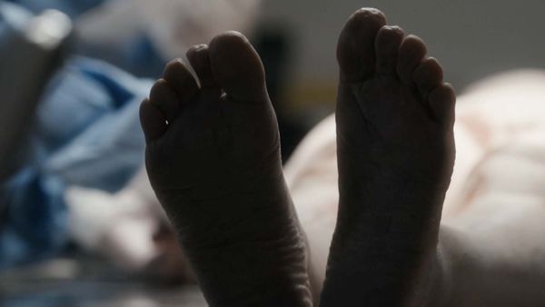 Noche y día - Anatomía de un crimen