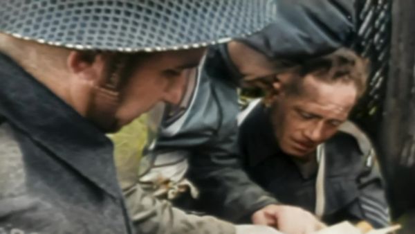 WWII The Call of Duty - D-Day at Last: April-June 1944