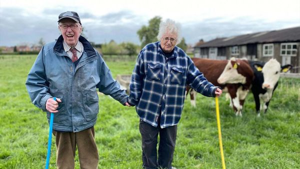 The Yorkshire Vet - Episode 1