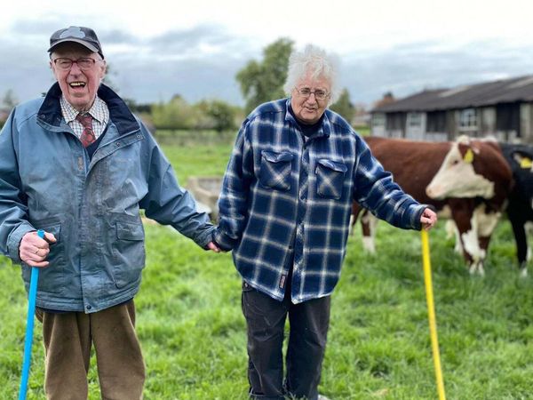The Yorkshire Vet - Episode 1