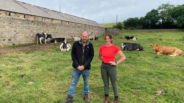 The Yorkshire Vet - Episode 9