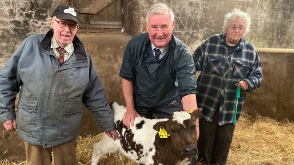 The Yorkshire Vet - Episode 10