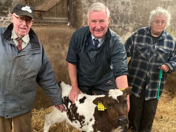 The Yorkshire Vet - Episode 10