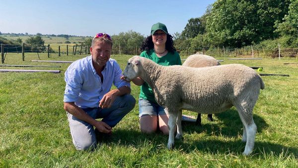 The Yorkshire Vet - Episode 11