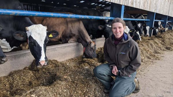 The Yorkshire Vet - Episode 8