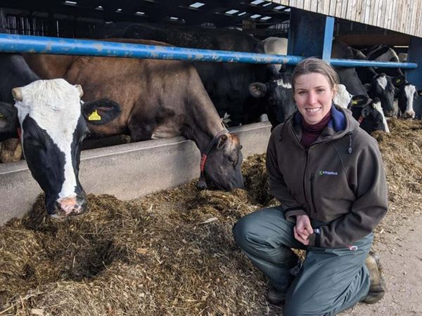 The Yorkshire Vet - Episode 8
