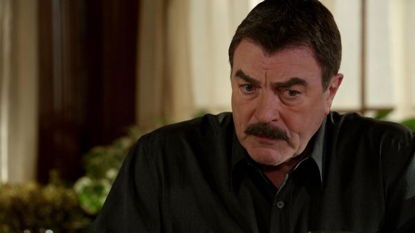Blue Bloods - Educação Superior