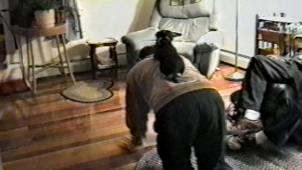 Life's Funniest Moments - Puppies Have Owner Well-Trained
