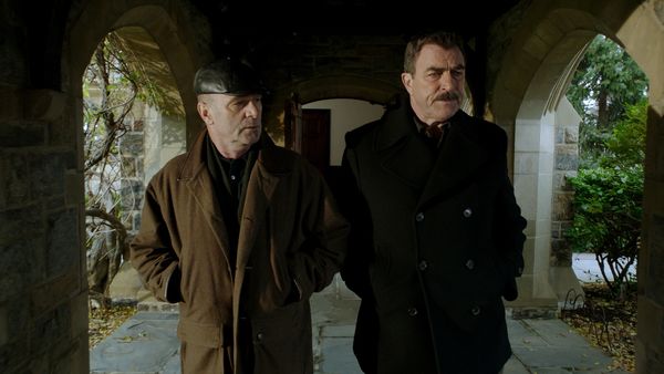 Blue Bloods - A Funcao